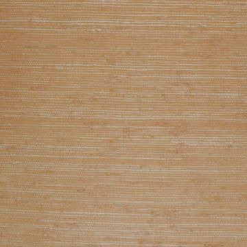 Nobilis - Grass-Cloth - GCP113