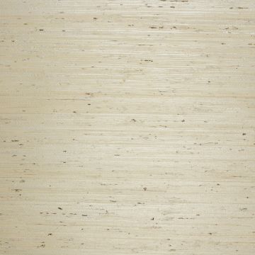 Nobilis - Paille Fond Satine - GCP131