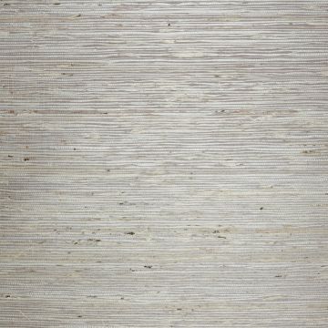 Nobilis - Paille Fond Satine - GCP137