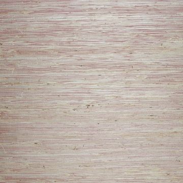 Nobilis - Paille Fond Satine - GCP138