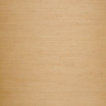 Nobilis - Masa - GCP238