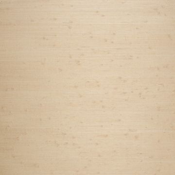 Nobilis - Masa - GCP255