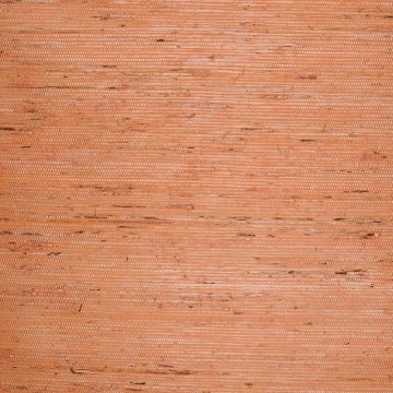 Nobilis - Pailles - GCP457