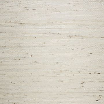 Nobilis - Pailles - GCP593