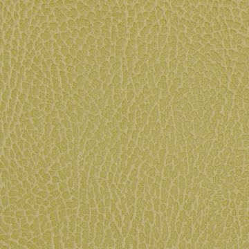 Nobilis - Grain De Cuir 10178-67