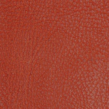 Nobilis - Grain De Cuir 10178-78