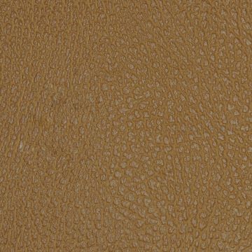 Nobilis - Grain De Cuir 10178-87