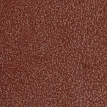 Nobilis - Grain De Cuir 10178-98