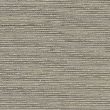 Nobilis - A Propos - Variation 10247-84