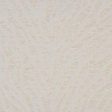 Nobilis - A Propos - Ecume 10250-82