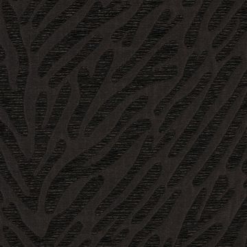 Nobilis - A Propos - Ecume 10250-88