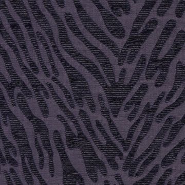 Nobilis - A Propos - Ecume 10250-94