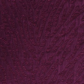 Nobilis - A Propos - Ecume 10250-95