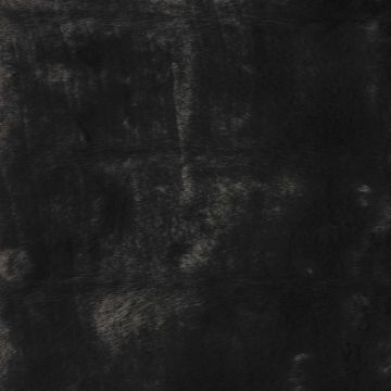 Nobilis - Altitude - Chamois Grizzli 10284-88