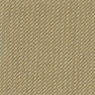 Nobilis - Caravanserai - Istanbul 10285-86