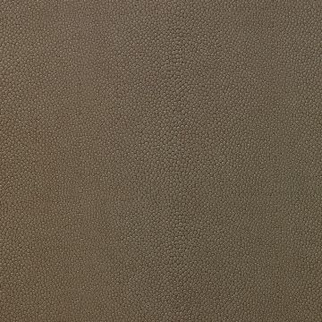 Nobilis - Reflets - Galuchat 10404-05