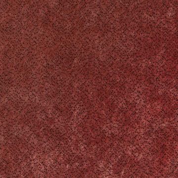 Nobilis - Velours Iconic - Velours Dalmatien 10565-57