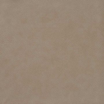 Nobilis - Project No 1 - Fleur De Cuir 10566-10