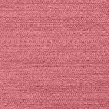 Nobilis - Mary & Gary - ASG - Mary 10655-40