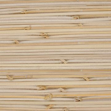 Nobilis - Poems - The Mind 4054-26