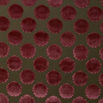 Nobilis - Histoire De Famille No 1 - Velours Kimono 8981-94