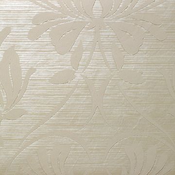 Nobilis - New Delhi - TEX61