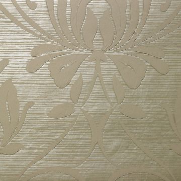 Nobilis - New Delhi - TEX62