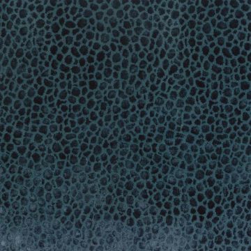 Osborne & Little - Kuri - F6710-01