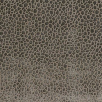 Osborne & Little - Kuri - F6710-07