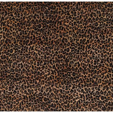 Osborne & Little - Pardus - F6713-02