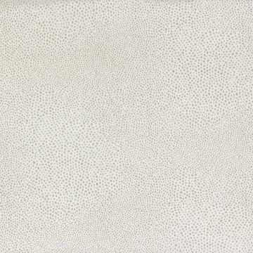 Osborne & Little - Akoya - F6731-11