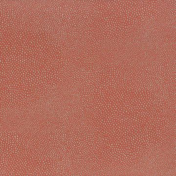 Osborne & Little - Akoya - F6731-13