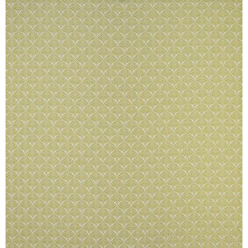 Osborne & Little - Calathea - F7442-01