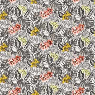 Osborne & Little - Zebrina - F7447-01