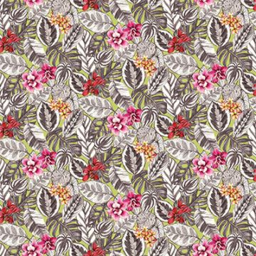 Osborne & Little - Zebrina - F7447-03