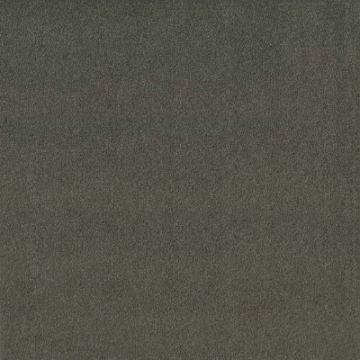 Osborne & Little - Cranborne Velour - F7521-19