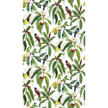 Osborne & Little - Michelia Outdoor - F7662-03