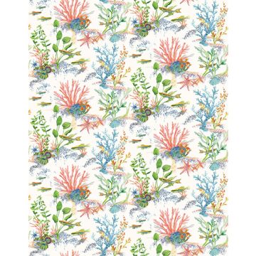 Osborne & Little - Coralline - F7663-01