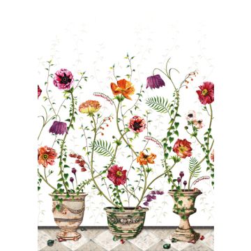 Osborne & Little - Lamorran - F7672-01