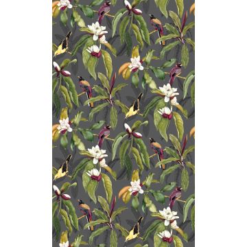 Osborne & Little - Michelia - W7612-01