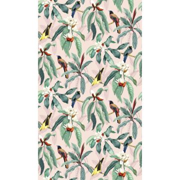 Osborne & Little - Michelia - W7612-02