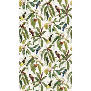 Osborne & Little - Michelia - W7612-03