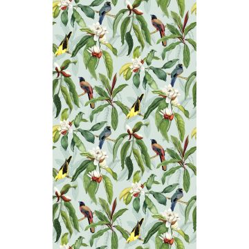 Osborne & Little - Michelia - W7612-04