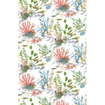 Osborne & Little - Coralline - W7682-01