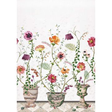 Osborne & Little - Lamorran - W7683-01