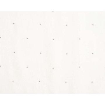 Pierre Frey - La Voie Lactee F2963002 Argent