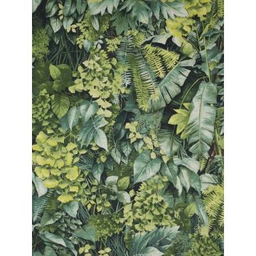 Pierre Frey - Mur vegetal - F3680001 Chlorophylle