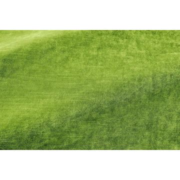 Pierre Frey - Murano - F3793014 Sinople