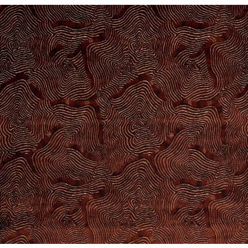 Pierre Frey - Shabeel - F3855001 Ambre