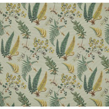 Pierre Frey - Botanique - F3886002 Aquatique